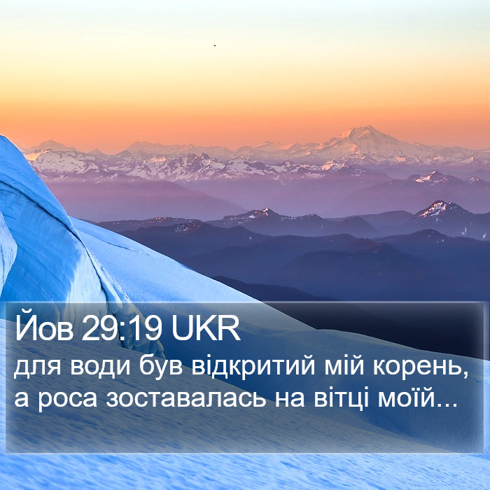 Йов 29:19 UKR Bible Study