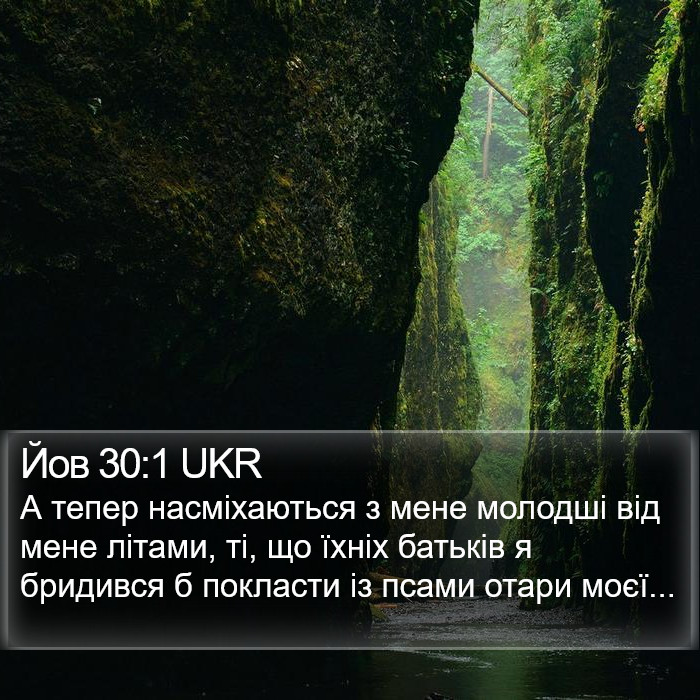 Йов 30:1 UKR Bible Study