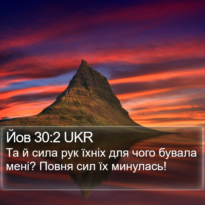 Йов 30:2 UKR Bible Study