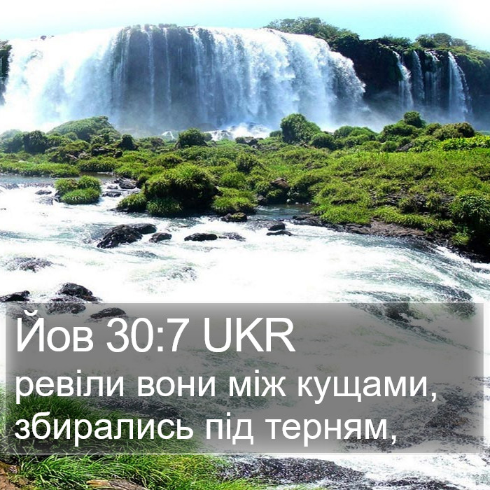 Йов 30:7 UKR Bible Study