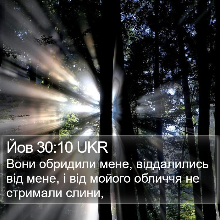 Йов 30:10 UKR Bible Study