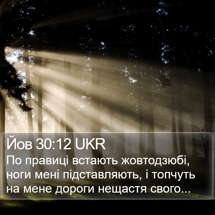Йов 30:12 UKR Bible Study