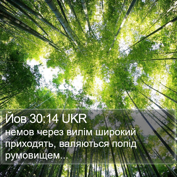 Йов 30:14 UKR Bible Study