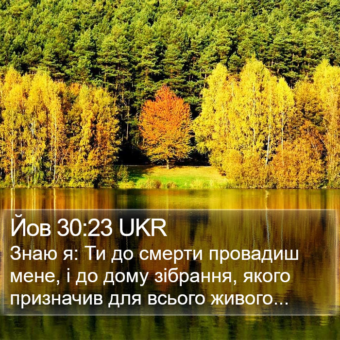 Йов 30:23 UKR Bible Study