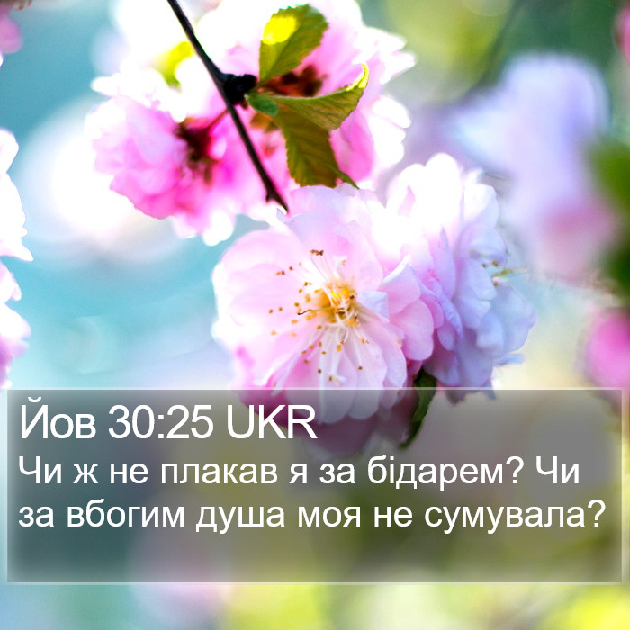 Йов 30:25 UKR Bible Study