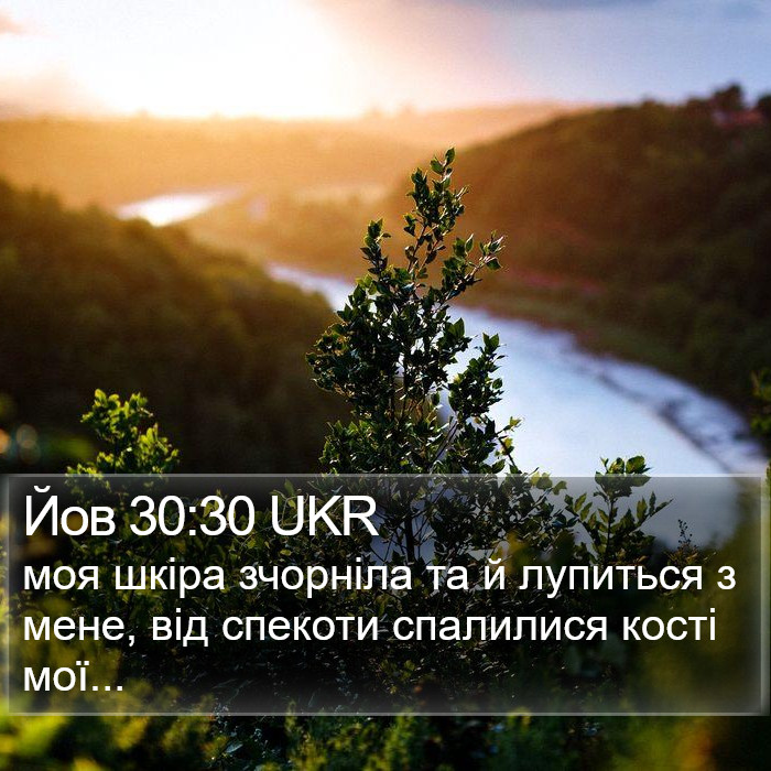 Йов 30:30 UKR Bible Study