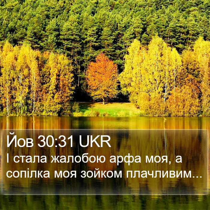 Йов 30:31 UKR Bible Study