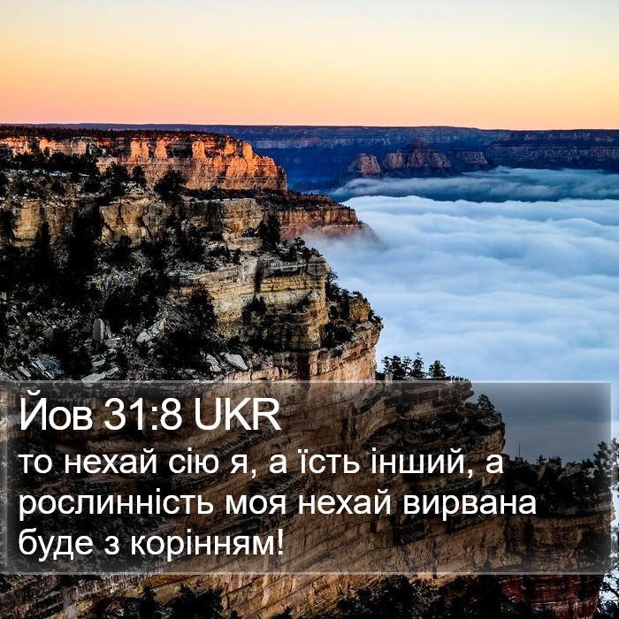 Йов 31:8 UKR Bible Study