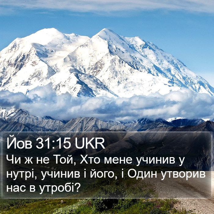 Йов 31:15 UKR Bible Study