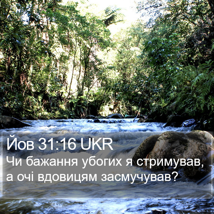 Йов 31:16 UKR Bible Study