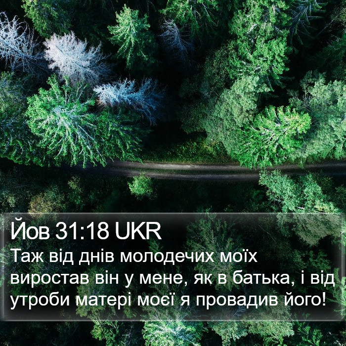 Йов 31:18 UKR Bible Study