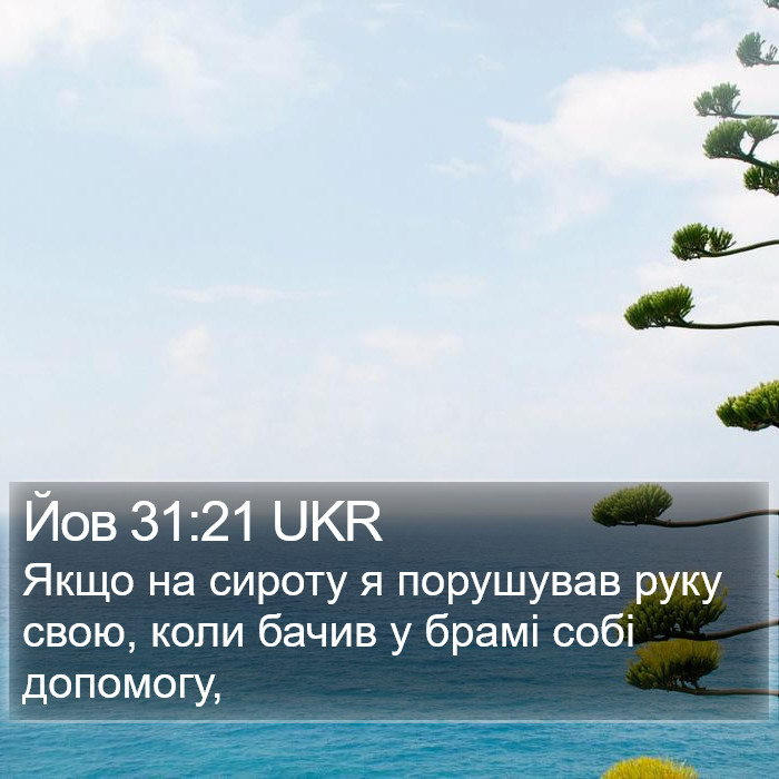 Йов 31:21 UKR Bible Study