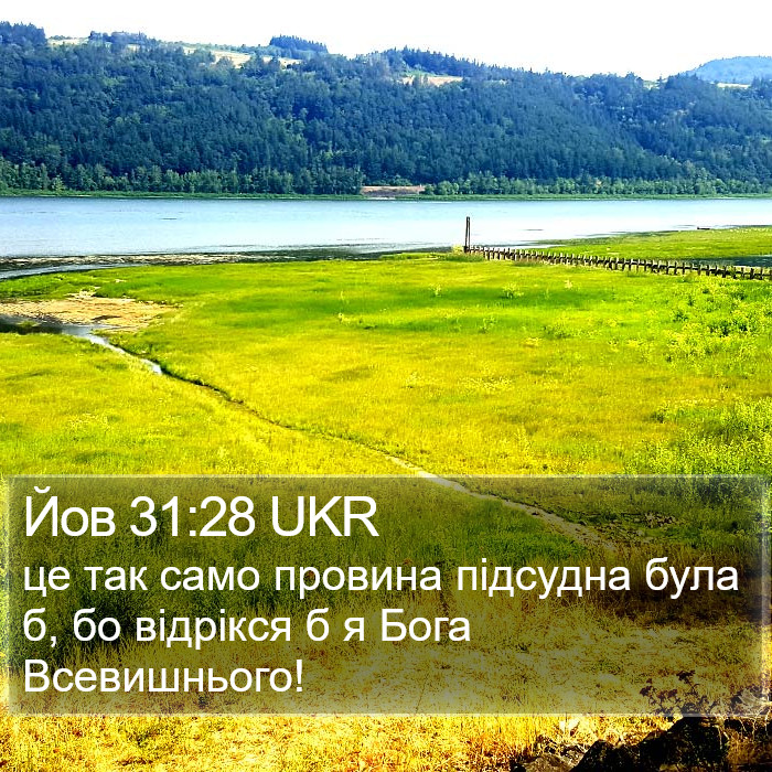 Йов 31:28 UKR Bible Study