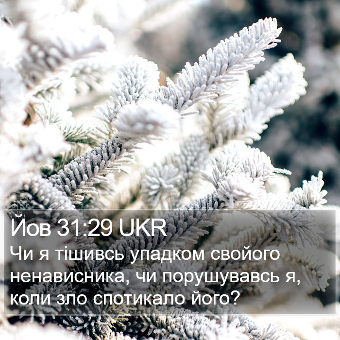 Йов 31:29 UKR Bible Study