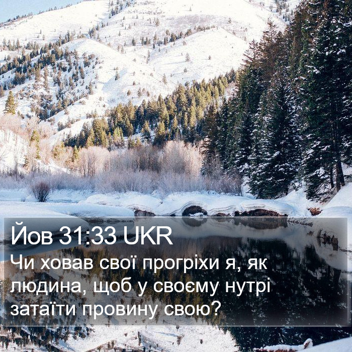 Йов 31:33 UKR Bible Study