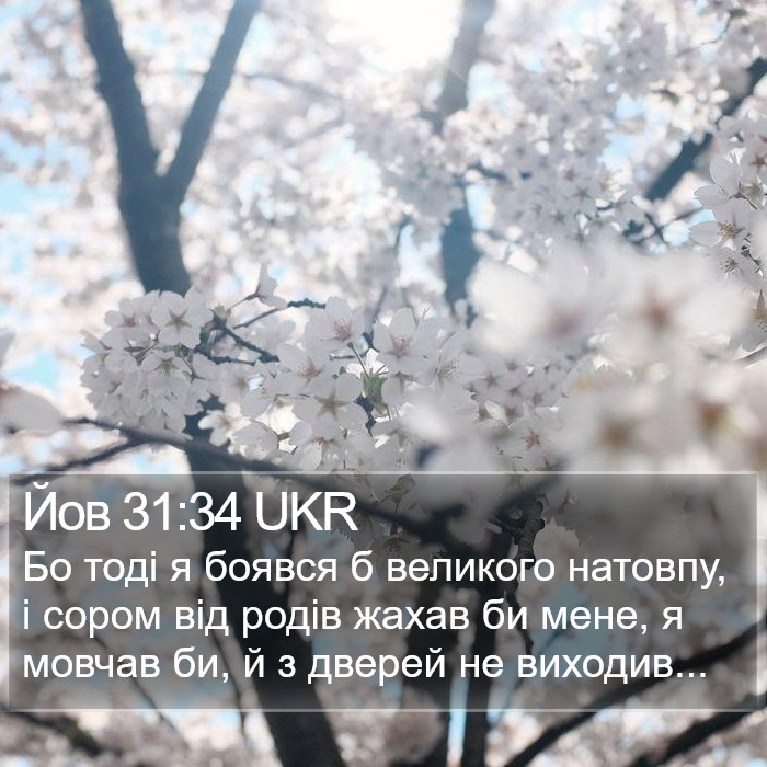 Йов 31:34 UKR Bible Study