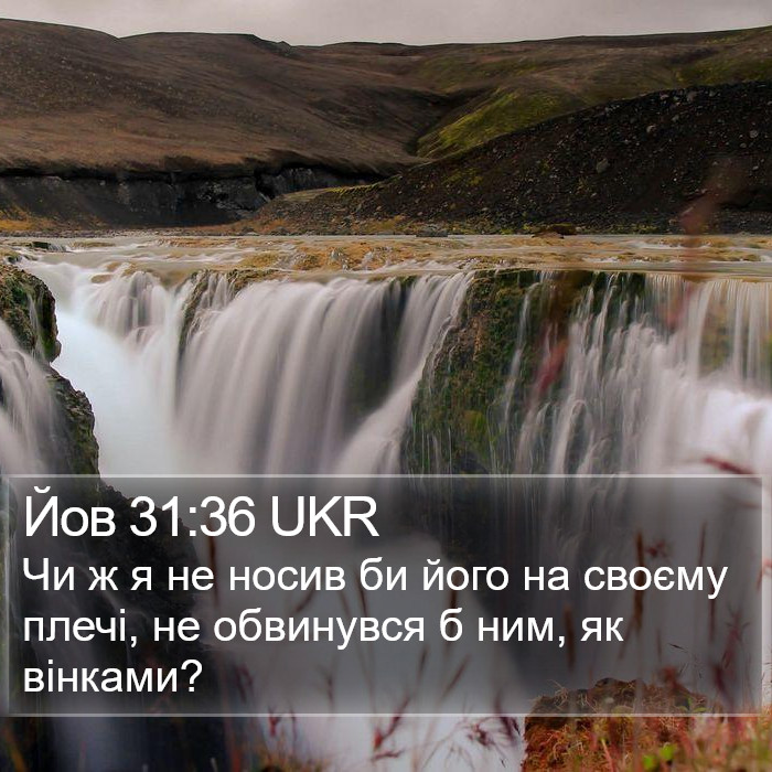 Йов 31:36 UKR Bible Study