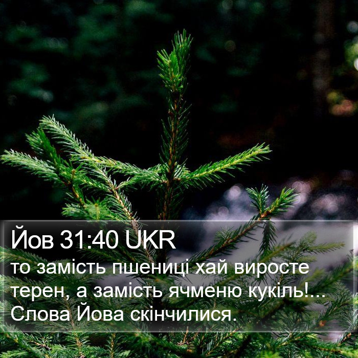 Йов 31:40 UKR Bible Study