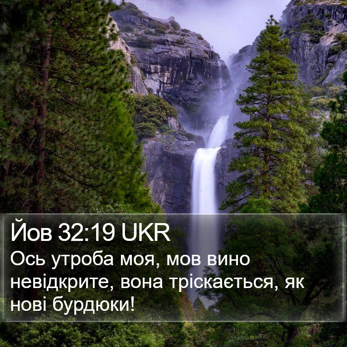 Йов 32:19 UKR Bible Study
