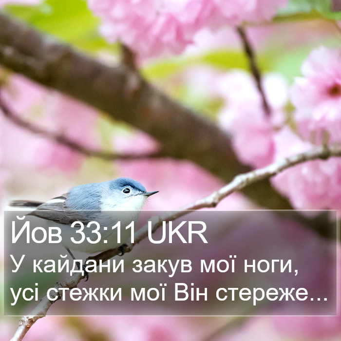 Йов 33:11 UKR Bible Study