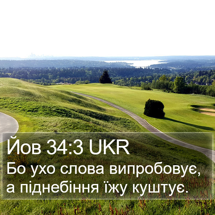 Йов 34:3 UKR Bible Study