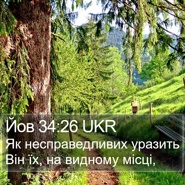 Йов 34:26 UKR Bible Study