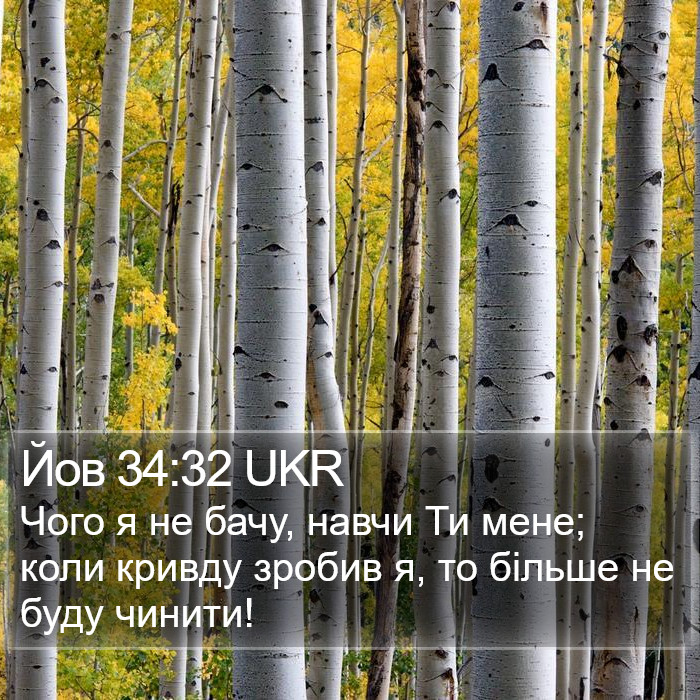 Йов 34:32 UKR Bible Study