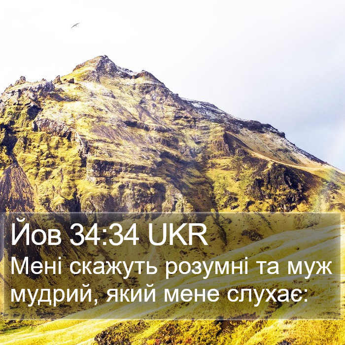 Йов 34:34 UKR Bible Study