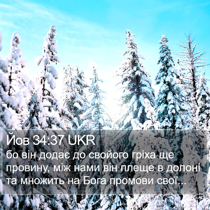 Йов 34:37 UKR Bible Study