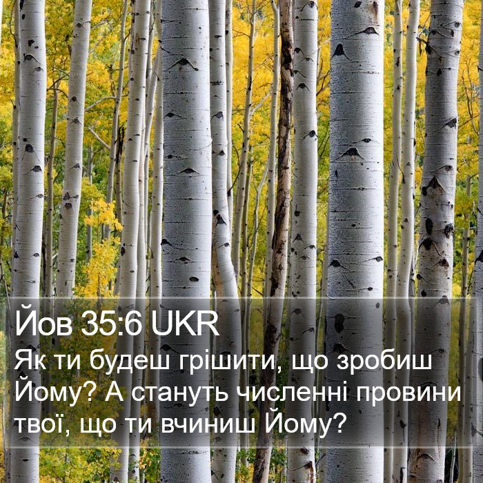 Йов 35:6 UKR Bible Study