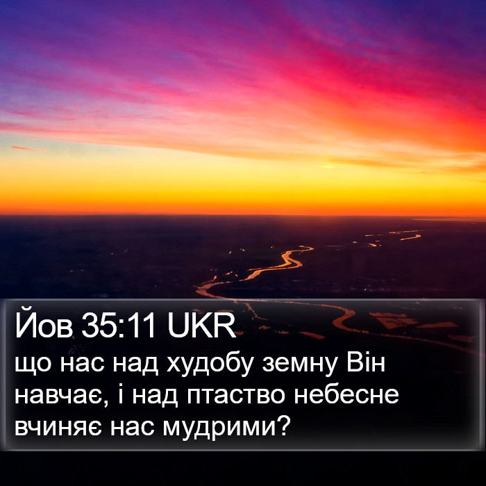 Йов 35:11 UKR Bible Study