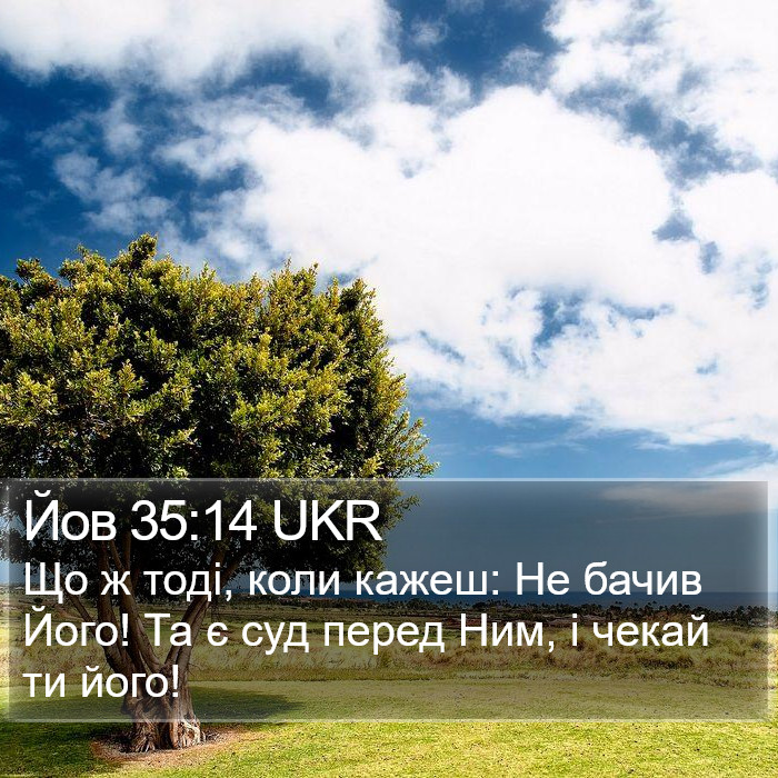 Йов 35:14 UKR Bible Study