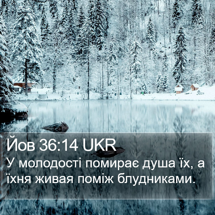 Йов 36:14 UKR Bible Study