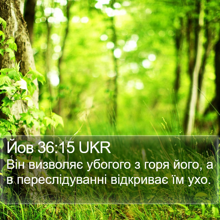 Йов 36:15 UKR Bible Study