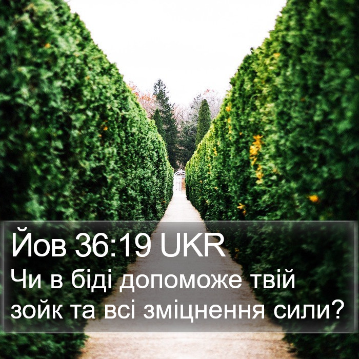 Йов 36:19 UKR Bible Study