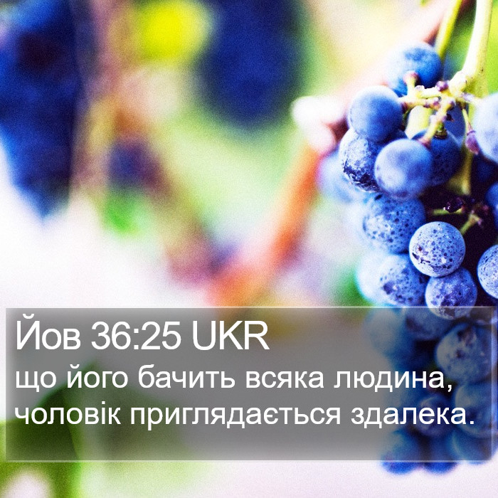 Йов 36:25 UKR Bible Study