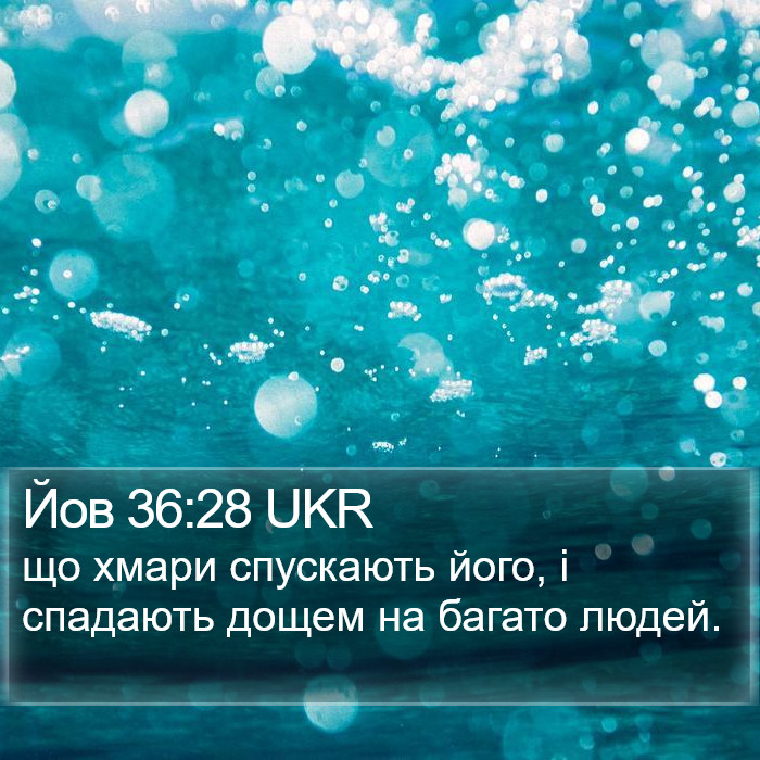 Йов 36:28 UKR Bible Study