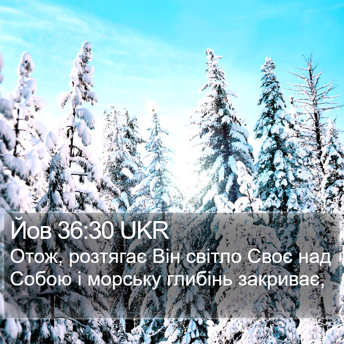 Йов 36:30 UKR Bible Study