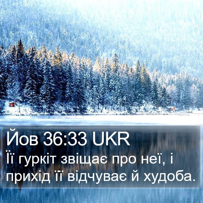 Йов 36:33 UKR Bible Study