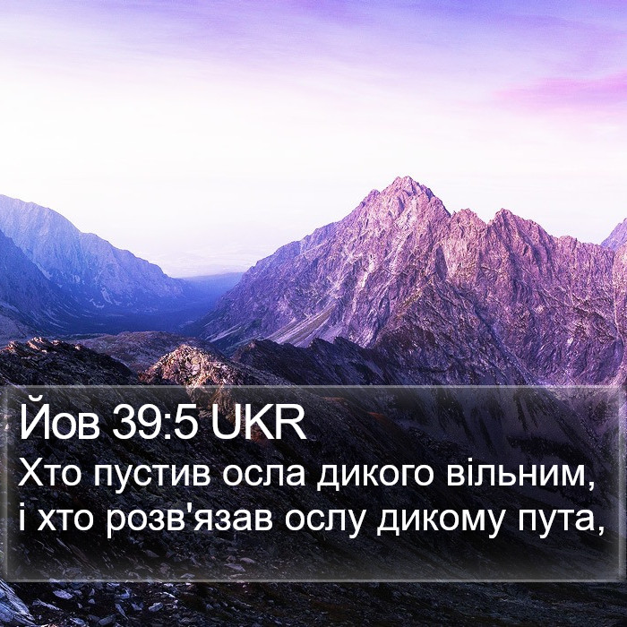Йов 39:5 UKR Bible Study