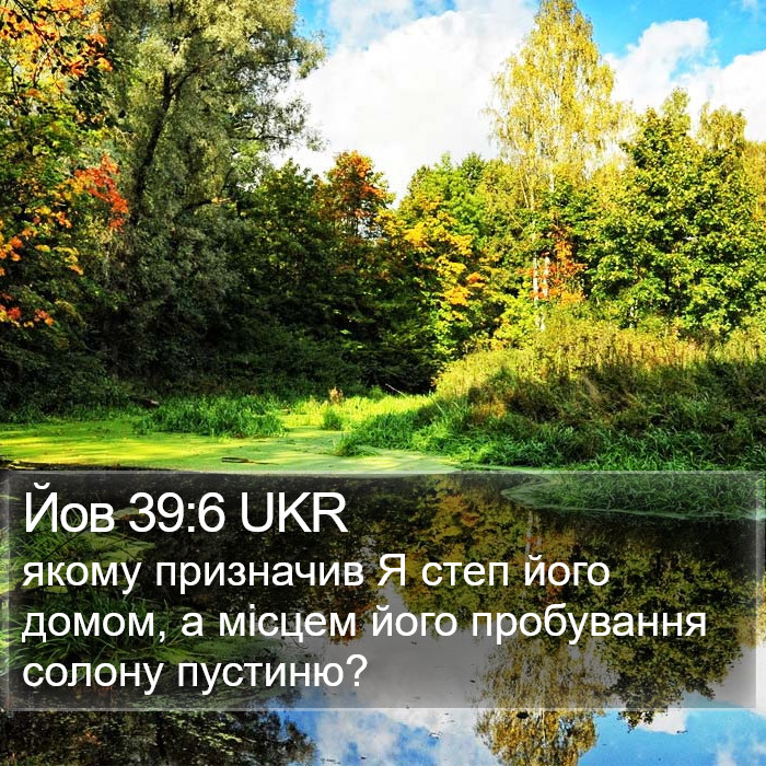 Йов 39:6 UKR Bible Study