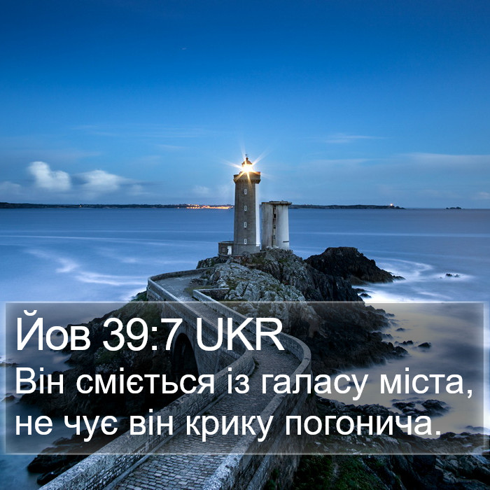 Йов 39:7 UKR Bible Study