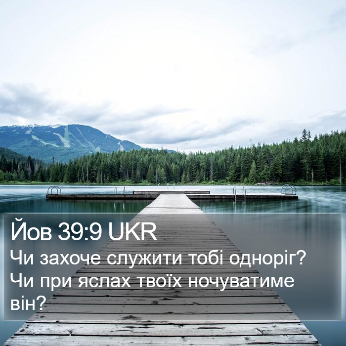 Йов 39:9 UKR Bible Study