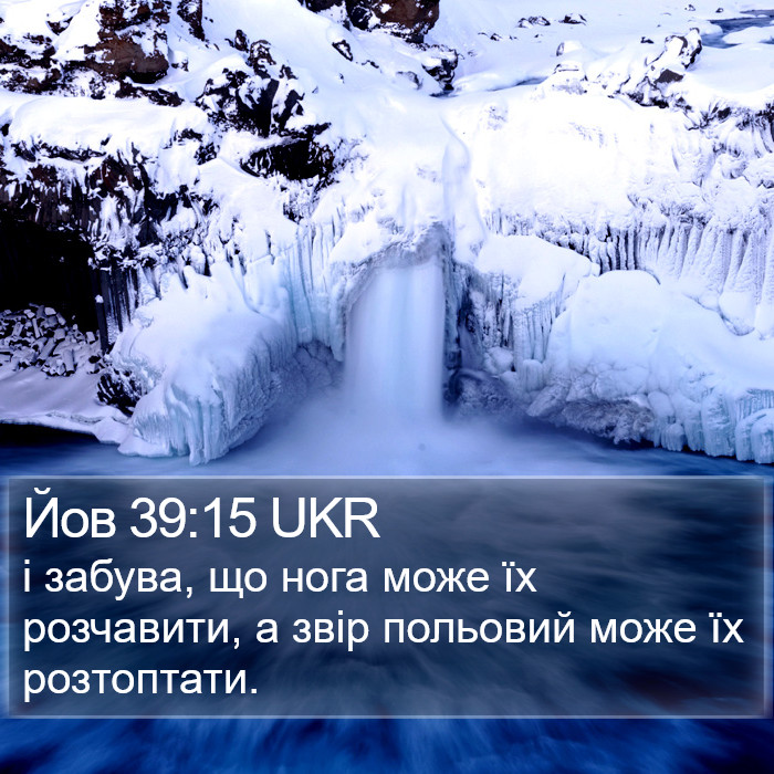 Йов 39:15 UKR Bible Study