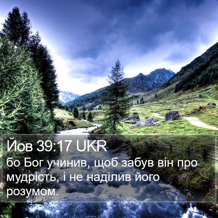 Йов 39:17 UKR Bible Study