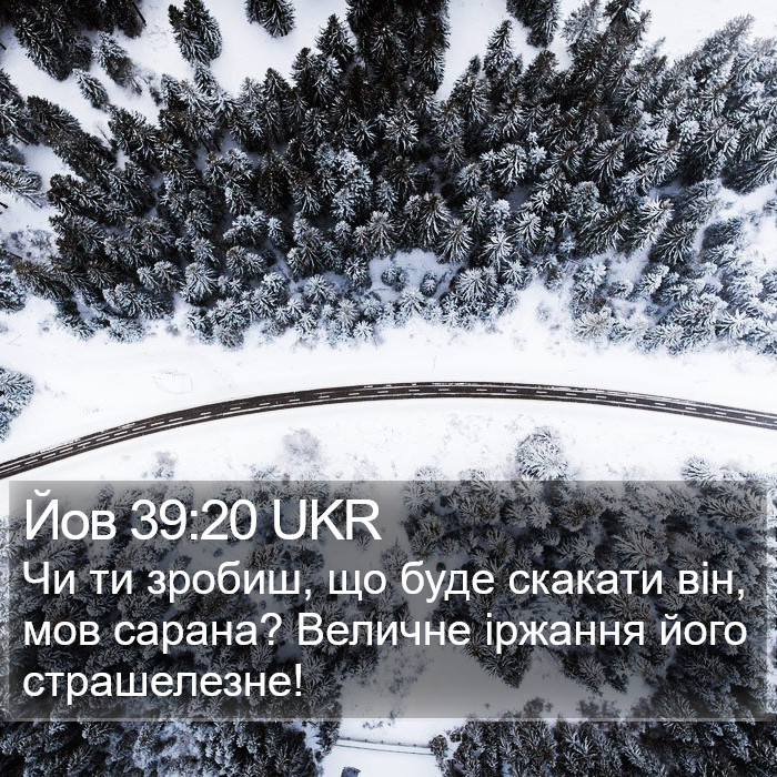 Йов 39:20 UKR Bible Study
