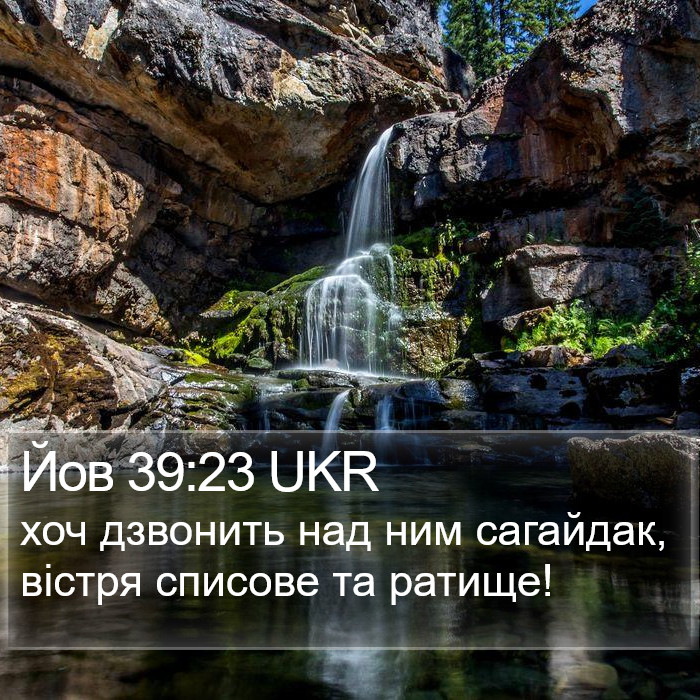 Йов 39:23 UKR Bible Study