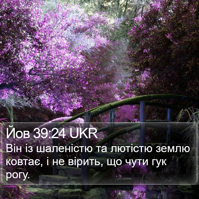 Йов 39:24 UKR Bible Study