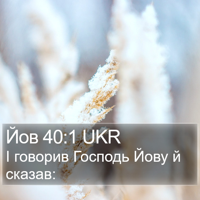Йов 40:1 UKR Bible Study