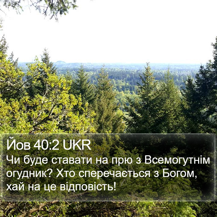 Йов 40:2 UKR Bible Study